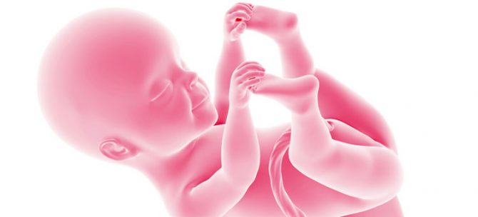 Rozwój płodu w 25. tygodniu ciąży