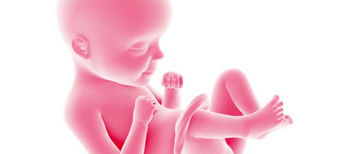 Rozwój płodu w 29. tygodniu ciąży