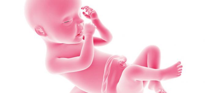 Rozwój płodu w 30. tygodniu ciąży
