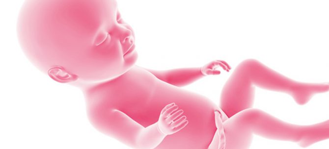 Rozwój płodu w 31. tygodniu ciąży