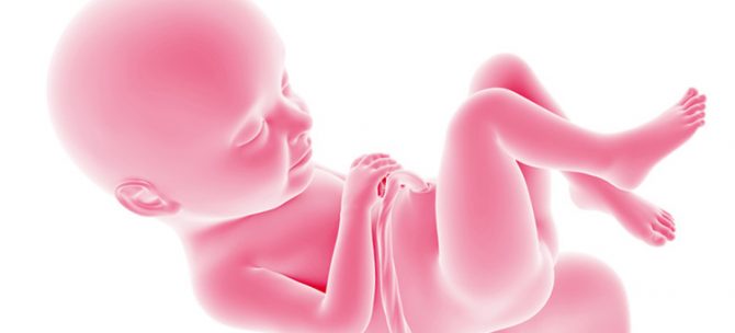 Rozwój płodu w 32. tygodniu ciąży