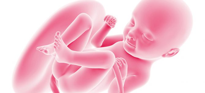 Rozwój płodu w 33. tygodniu ciąży