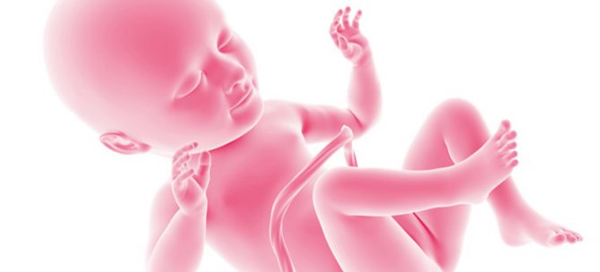 Rozwój płodu w 34. tygodniu ciąży