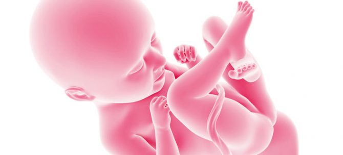 Rozwój płodu w 35. tygodniu ciąży