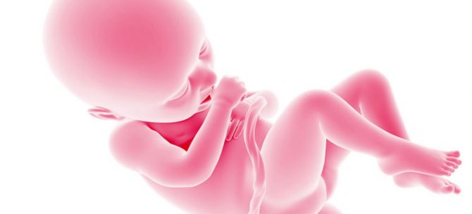 Rozwój płodu w 36. tygodniu ciąży