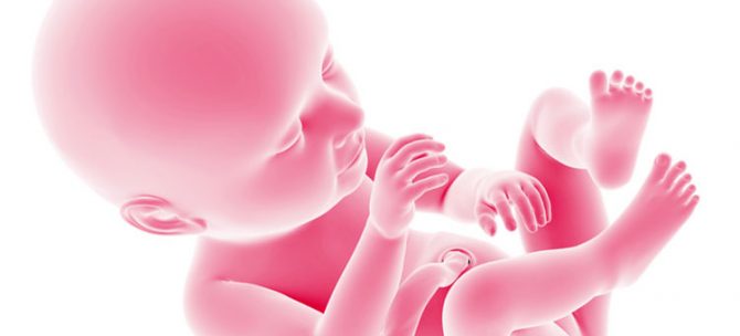 Rozwój płodu w 37. tygodniu ciąży