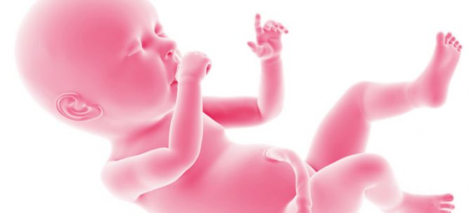 Rozwój płodu w 40. tygodniu ciąży